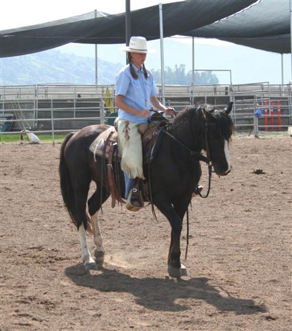 horse and rider