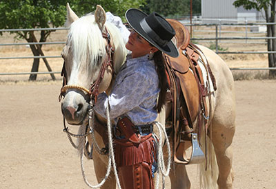 Palomino morgan stallion JaF Sunrise Surfer Dude